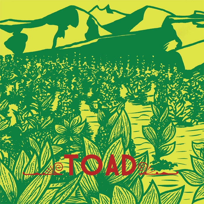 NÒV001